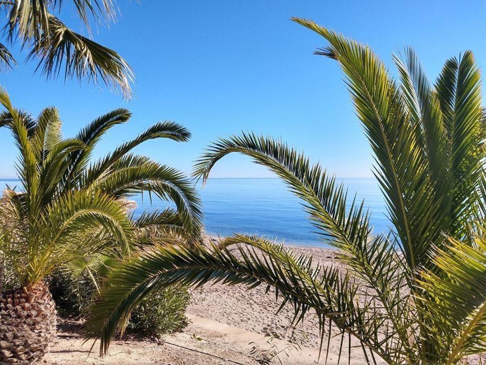 Ola Laguna Beach Vera Playa Exterior photo